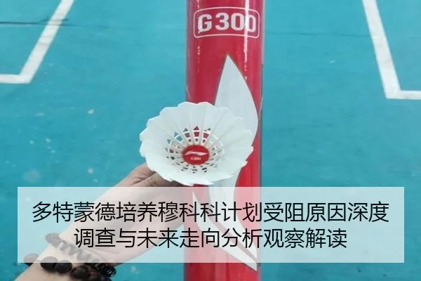 多特蒙德培养穆科科计划受阻原因深度调查与未来走向分析观察解读