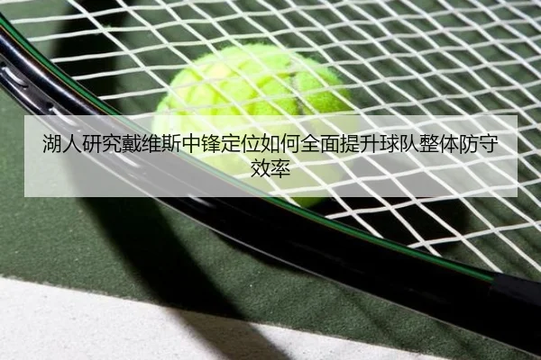 湖人研究戴维斯中锋定位如何全面提升球队整体防守效率